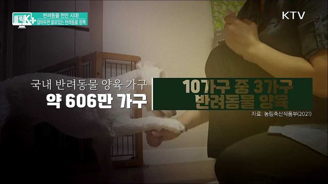 반려동물 천만 시대! 알아두면 쓸모있는 반려동물 정책 [클릭K+]