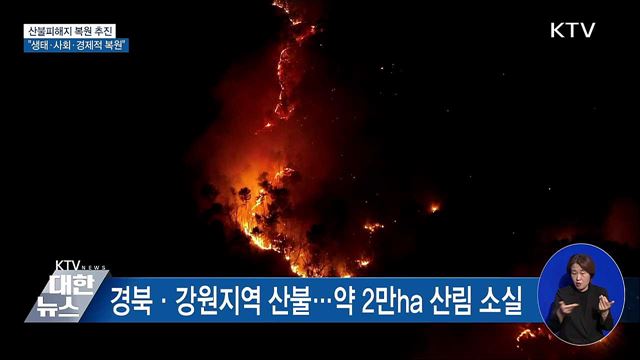 산불피해지 복원 추진···"생태·사회·경제적 복원"