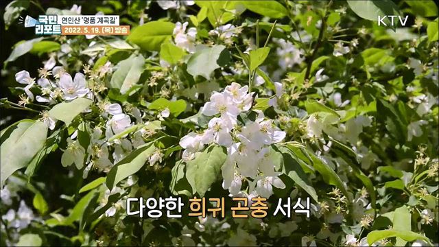 가평 연인산 도립공원, 명품 계곡길 발길 이어져