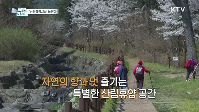 "예약이 하늘의 별 따기" 산림휴양시설 늘어난다