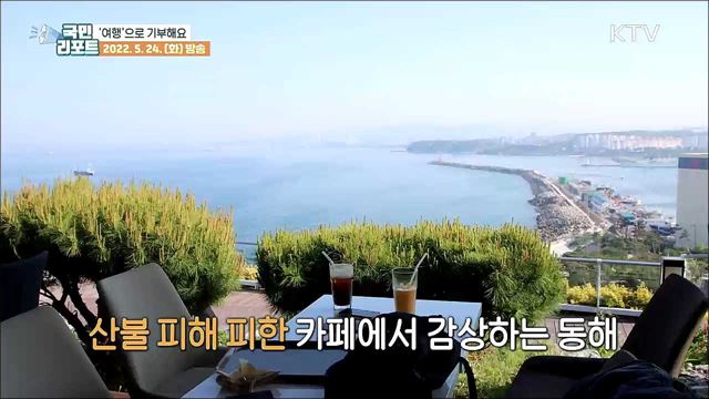 산불 피해 지역 살리는 '동해안 여행 캠페인’
