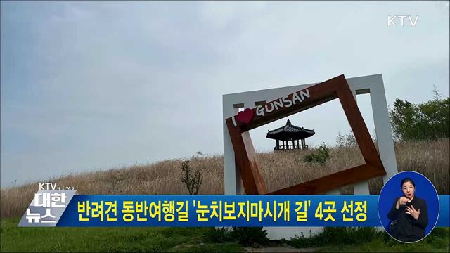 반려견 동반여행길 '눈치보지마시개 길' 4곳 선정