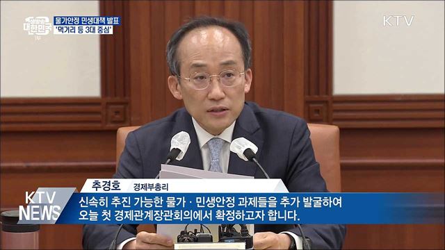 "3조 1천억 규모 민생대책 추진"···먹거리 등 중심