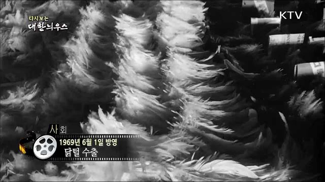 다시보는 대한늬우스 (69. 6. 1)