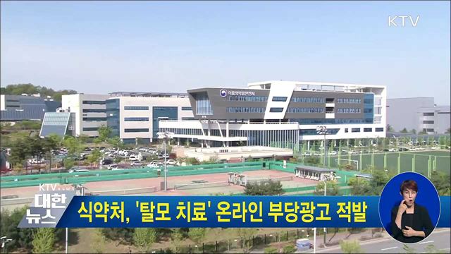 식약처, '탈모 치료' 온라인 부당광고 적발