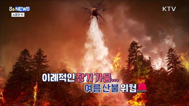 산림이 타들어 간다…빗물 1mm 7억 원의 가치 [S&News] 