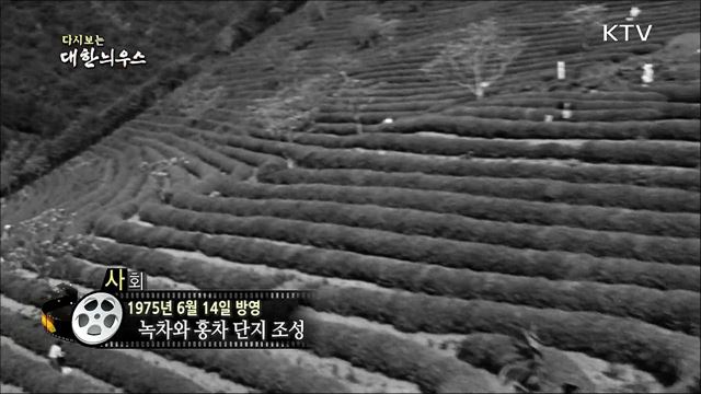 다시보는 대한늬우스 (75. 6. 14)