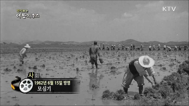 다시보는 대한늬우스 (62. 6. 15)