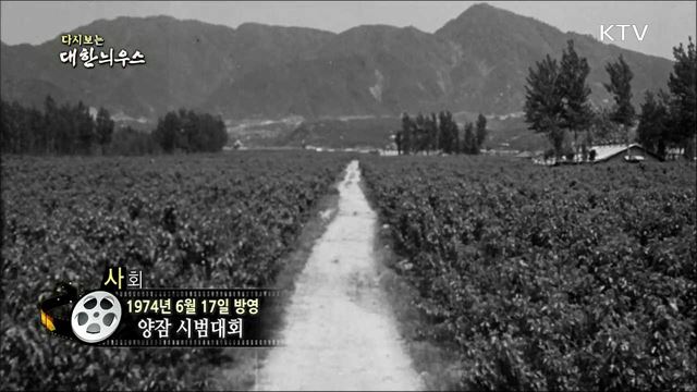 다시보는 대한늬우스 (74. 6. 17)