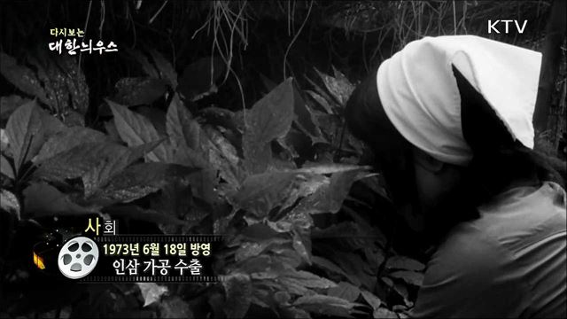 다시보는 대한늬우스 (73. 6. 18)