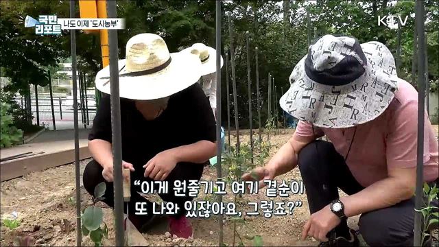 "농부 꿈 키운다" 도시농부학교 다시 문 열어