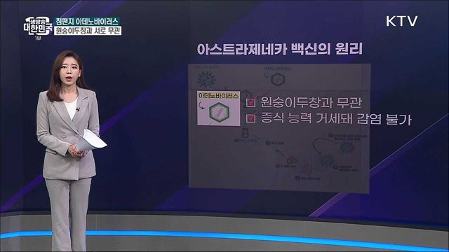 원숭이두창, 코로나19 백신 부작용이다? [사실은 이렇습니다]