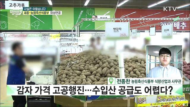 '금(金)자' 된 감자···수입산 공급도 어렵다? [사실은 이렇습니다]