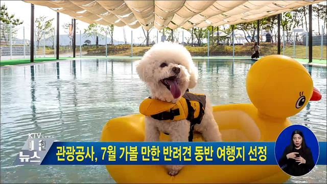 관광공사, 7월 가볼 만한 반려견 동반 여행지 선정