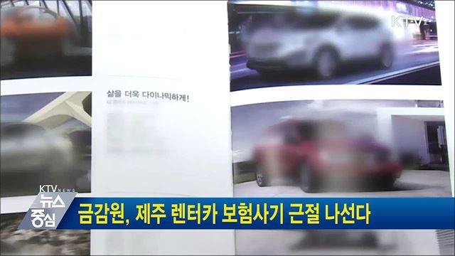 금감원, 제주 렌터카 보험사기 근절 나선다