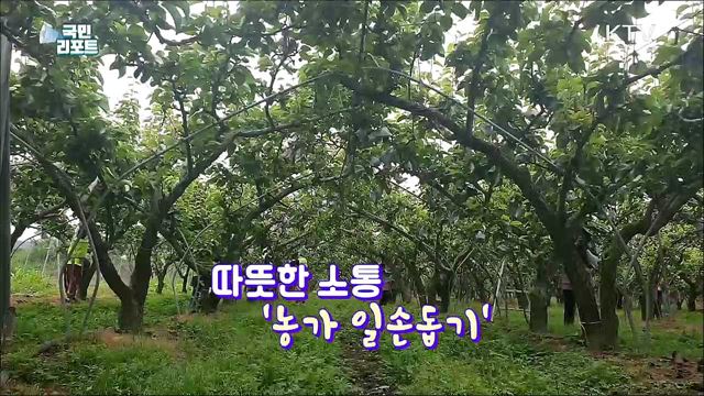 "일손 없으면 달려가요" 영농철 농가에 '단비’