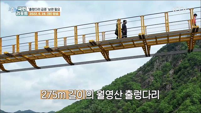 출렁다리 급증 '환경·안전 규정' 지적도