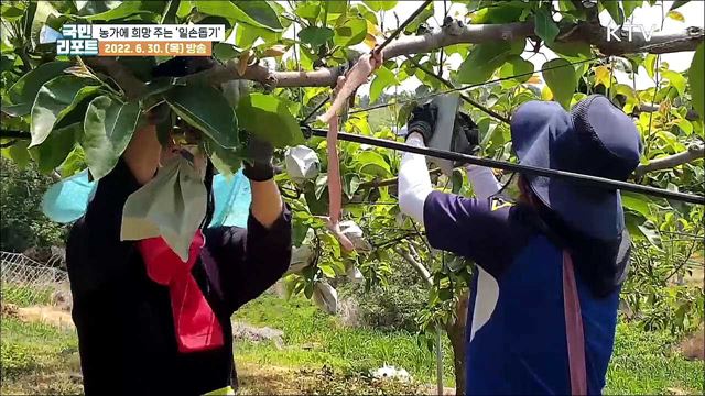 "일손 없으면 달려가요" 영농철 농가에 '단비’