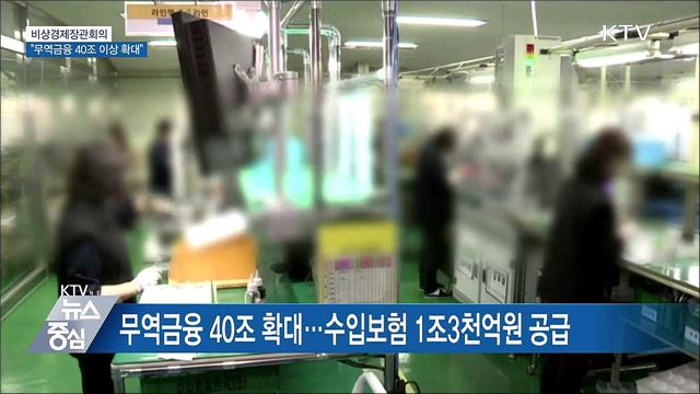 비상경제장관회의···"무역금융 40조 이상 확대"