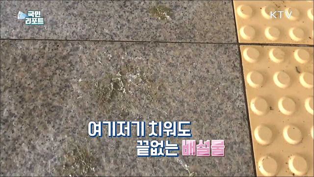 비둘기 배설물로 '오송역' 이용객 불편