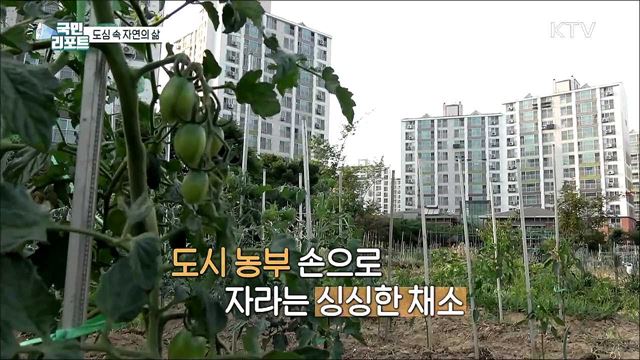 도심 속 전원생활, 텃밭 인기