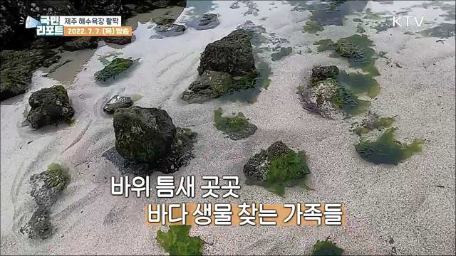 제주 해수욕장 개장, 즐길 거리 5가지 추천