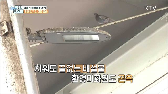 비둘기 배설물로 '오송역' 이용객 불편