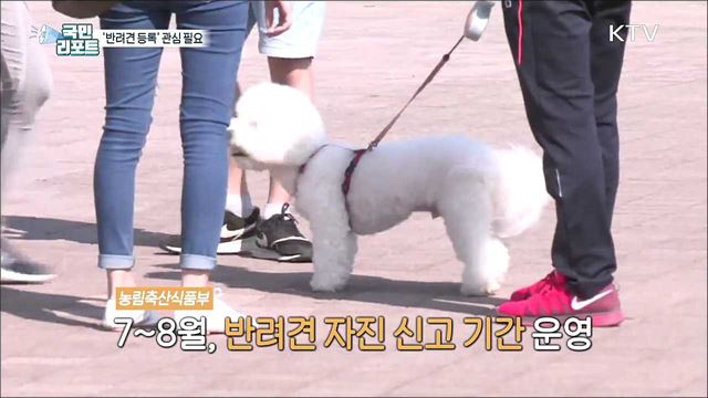 반려견 자진신고 잊지 말고 하세요!