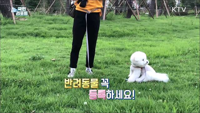 반려견 자진신고 잊지 말고 하세요!