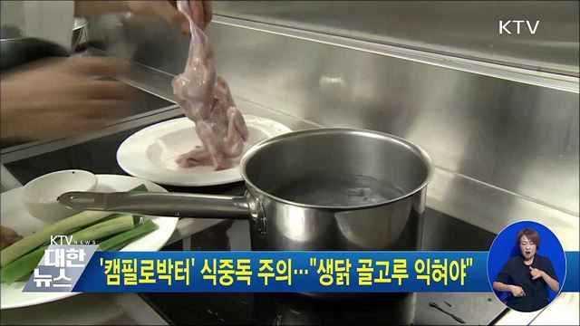 '캠필로박터' 식중독 주의···"생닭 골고루 익혀야"