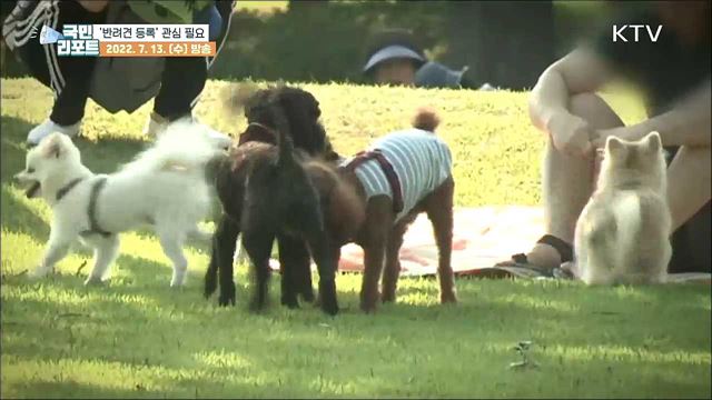 반려견 자진신고 잊지 말고 하세요!