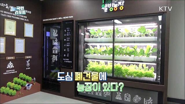 폐건물 활용 스마트 농장, 사계절 채소 생산해요