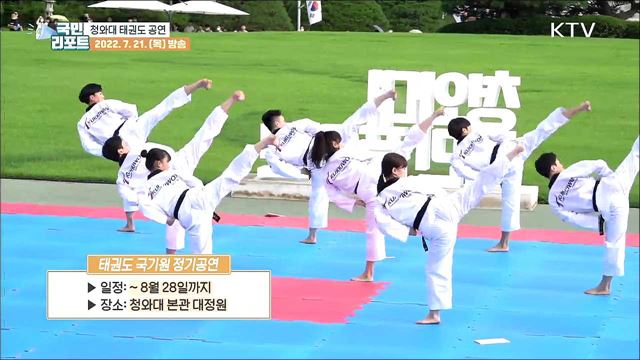 청와대에서 태권도 공연, 관람객 눈길 끌어