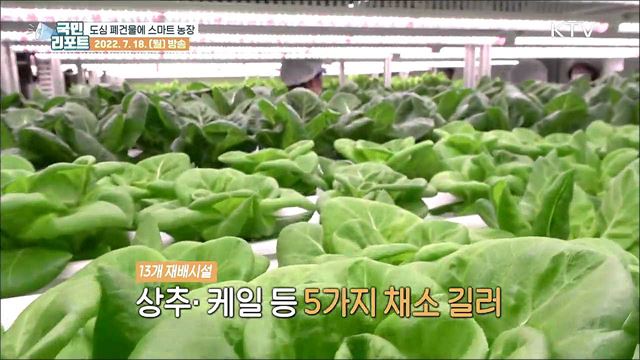 폐건물 활용 스마트 농장, 사계절 채소 생산해요