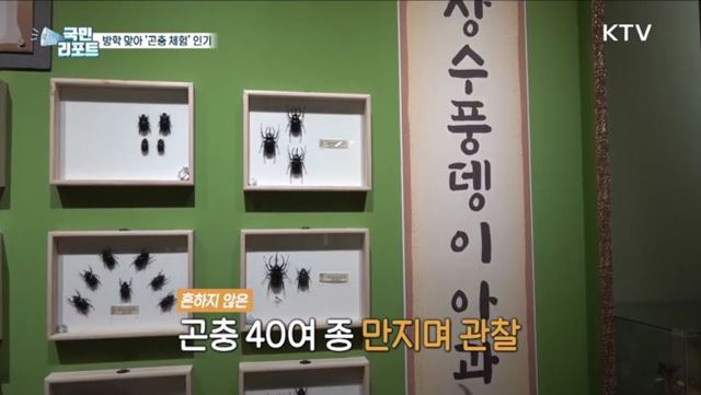 방학 맞아 곤충 체험하는 박물관 인기 끌어