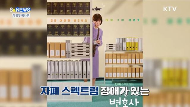 '우영우 팽나무' 천연기념물 지정되나? [S&News]