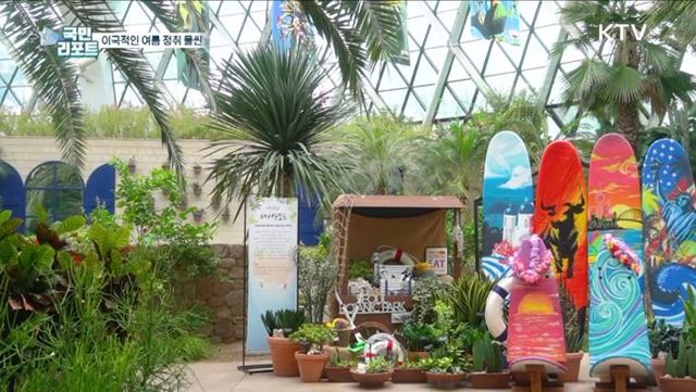 이국적인 여름 정취 연출, 서울식물원 인기
