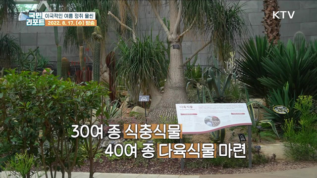 이국적인 여름 정취 연출, 서울식물원 인기