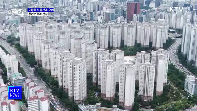 고령자 종합부동산세 납부 유예···청년보좌역 신설