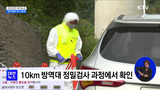 춘천 돼지농장 아프리카돼지열병 추가 발생