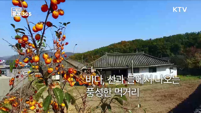 당신에게 최고의 가을 진미는 무엇인가요? [일상공감365]