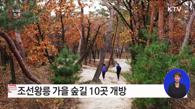 조선왕릉의 가을 숲길로 초대합니다