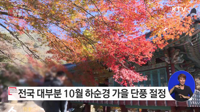 산림청, '2022년 가을 단풍예측지도' 발표