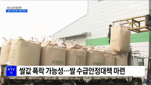 쌀 수급안정···"수확기 쌀 45만 톤 시장격리"