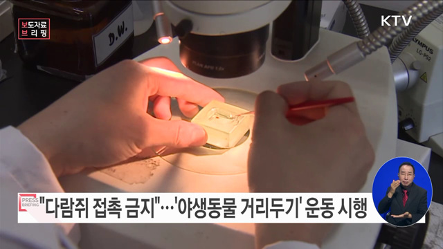 국립공원에서 야생동물과 거리를 두세요