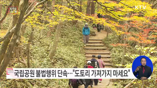 가을 성수기 임산물 채취 등 국립공원 불법행위 집중단속