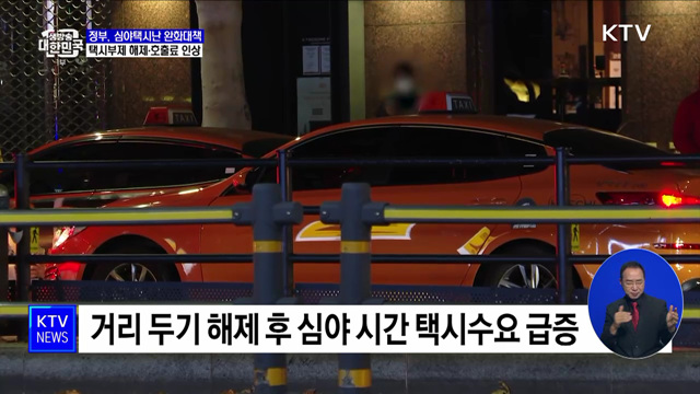 택시부제 해제·호출료 인상···심야택시난 완화 대책