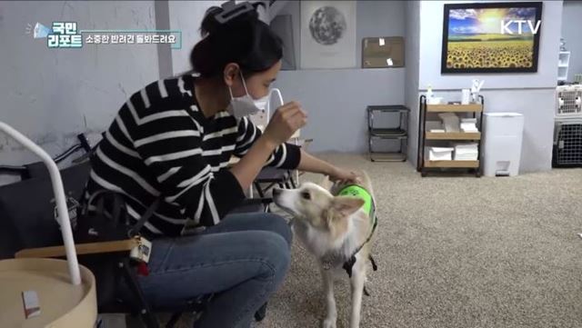 서울시 '우리동네 펫위탁소', 반려견 돌봐드려요