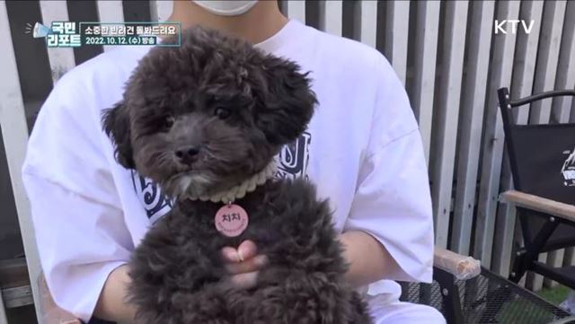 서울시 '우리동네 펫위탁소', 반려견 돌봐드려요