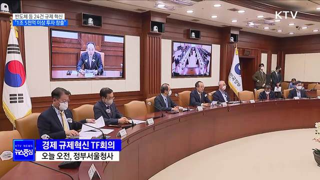 반도체 등 24건 규제 혁신···"1조 5천억 이상 투자 창출"